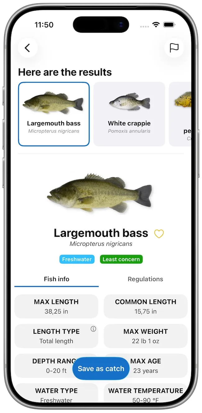Fishing Points feature image