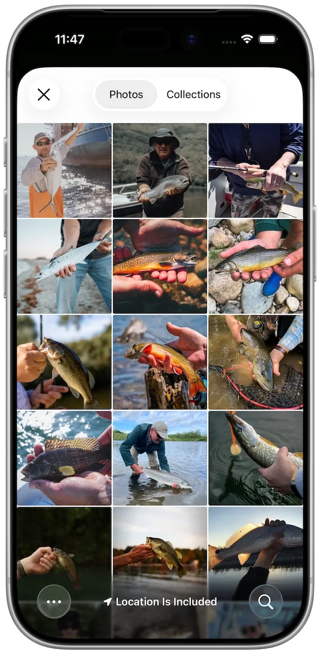 Fishing Points feature image