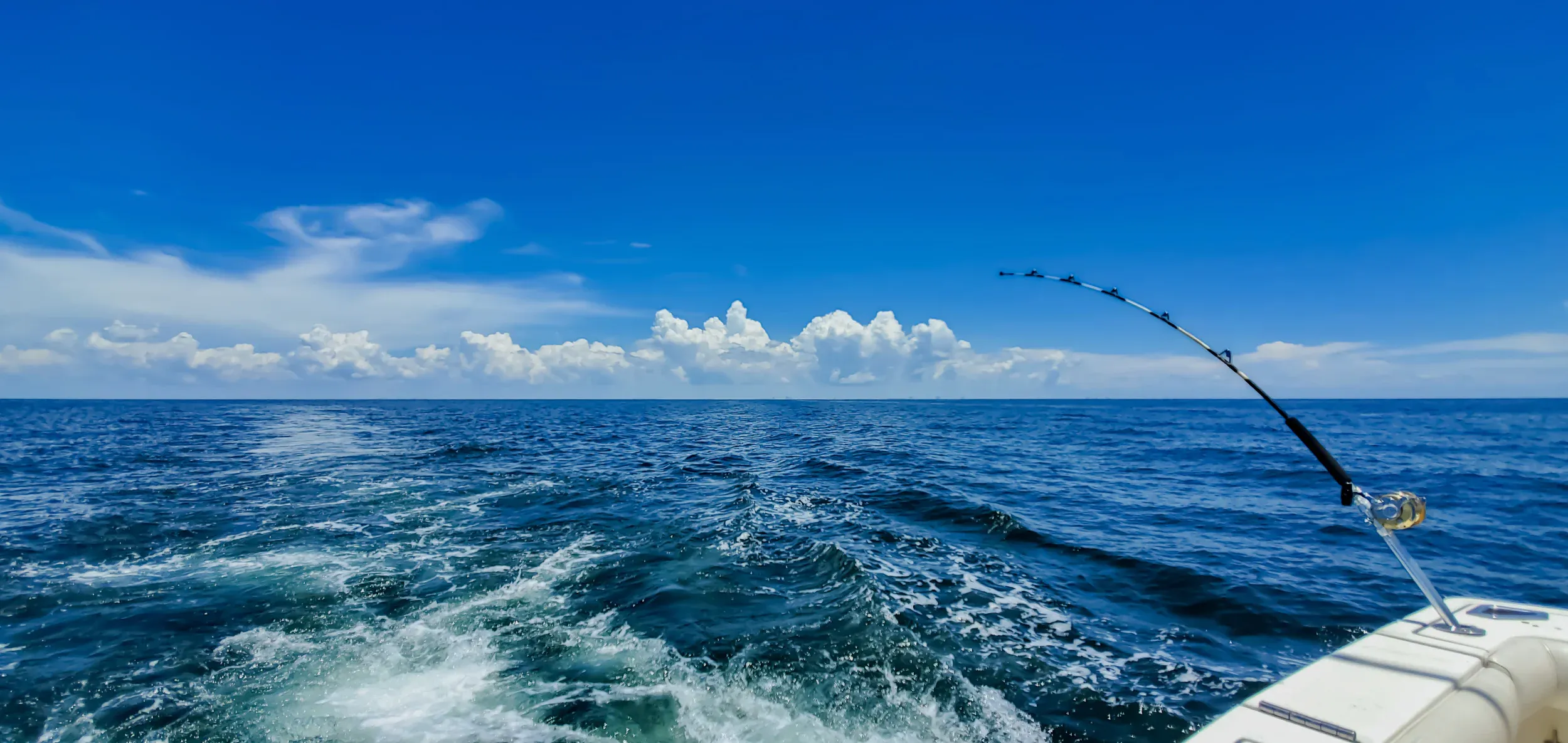 Fishing Points header image Fishing Points header image